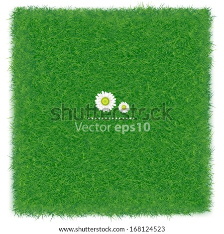 Green Grass Realistic Textured Background Isolate White Background, Vector Illustration