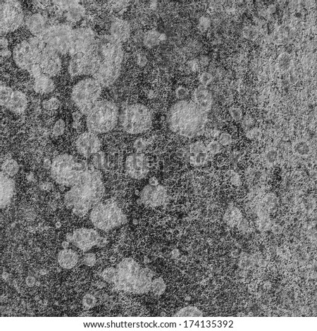 dirty mold on cement  wall in black and white