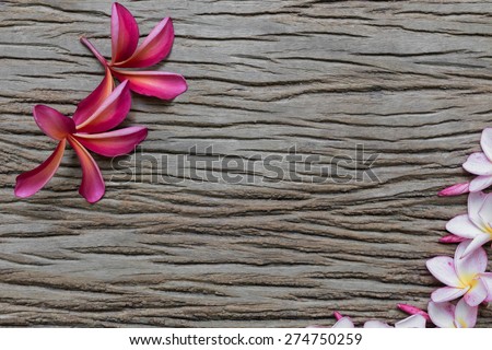 frame of red and pink flower on old plank