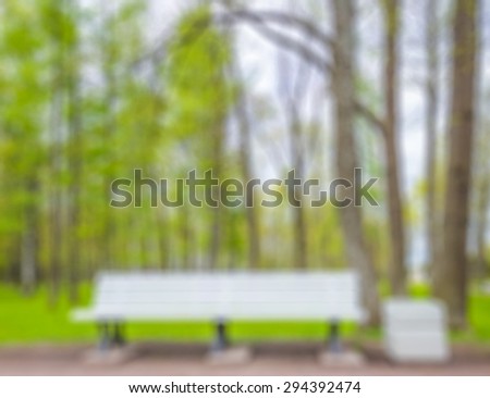 bench in park and forest background