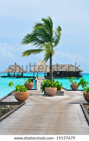 Island of Paradise. White sand beaches with coco-tree and crystal blue water. Maldives. Luxury holidays.