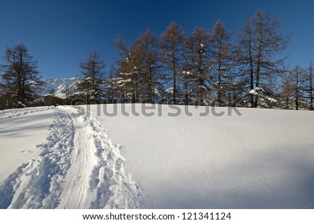 Winter landscape in a bright cold sunny day explored by ski touring, back country skiing and snowshoeing. Location: italian western Alps, Piedmont, Torino Province