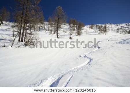 Ski alpinist on candid off-piste ski slope in powder snow and scenic alpine background