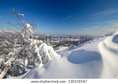 Amazing winter mountainscape with birch tree covered by thick snow and powder snow in the foreground. Location: Italy, Piedmont, Torino Province.
