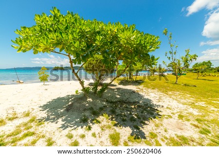 Wonderful colors in a bright sunny day on the remote Togean or Togian Islands, Central Sulawesi, Indonesia, upgrowing travel destination. Lush green foliage, white sandy beach and blue sea.