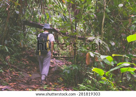 Woman hiker with backpack exploring the majestic jungle of Kubah National Park, West sarawak, Borneo, Malaysia. Selective focus, blurred motion, decontrasted and toned image.
