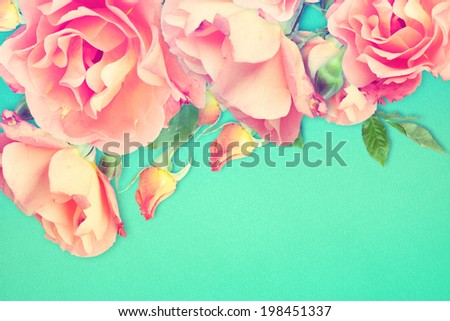 Fresh pink roses border.