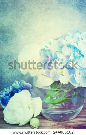 Hortensia flower in vase.