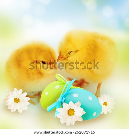Easter chickens with colorful Easter egg,