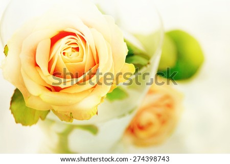 Bouquet of beautiful roses in vase/