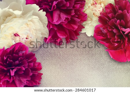 Floral frame with pink and creamy peonies.
