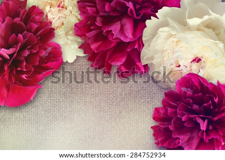 Floral frame with pink and creamy peonies.