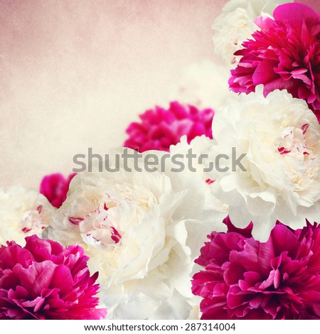 Floral border with pink and creamy peonies.