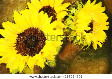 Sunflowers oil painting illustration background.