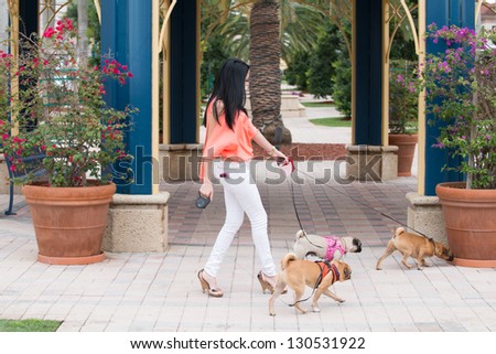 A young woman walking three dogs of pug breed.  A young woman walking three dogs of pug breed.