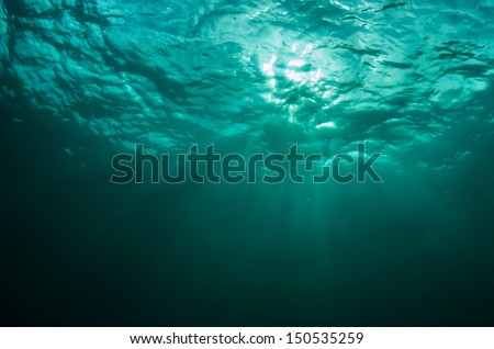 Beams of light through the waters surface