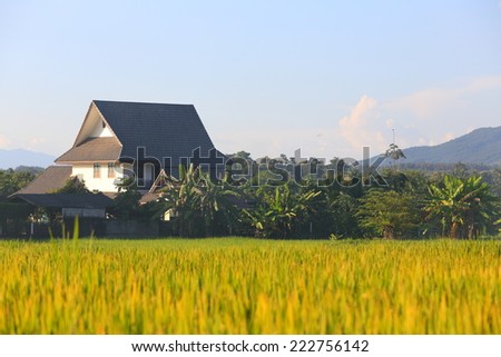house in nature north of Thailand