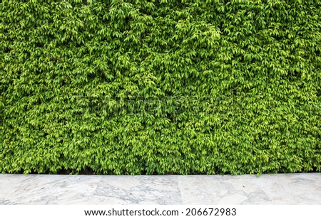 stone textured backgrounds in a room interior on the forest backgrounds