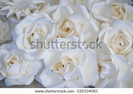 beautiful white roses flowers made with filters