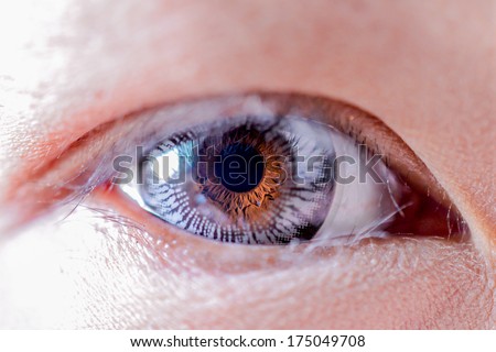 Macro Asian eye