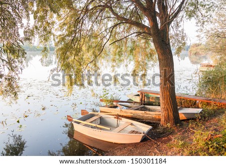 boats under a tree in the early morning glow of the sun