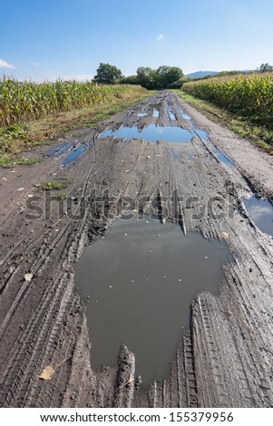 pools of water on a dirt road after rain