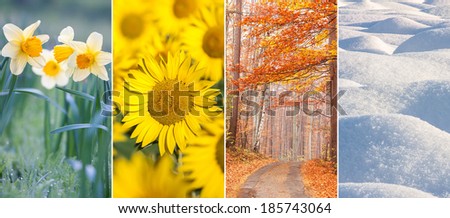 photo collage of four seasons