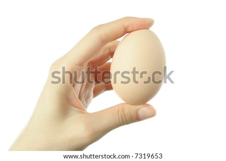 Hand Holding Egg