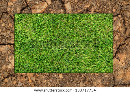 Green grass background and dry soil
