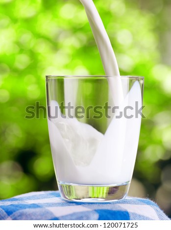 Glass Of Milk On Nature Background