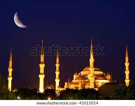 Blue mosque in Istanbul. Night scene.