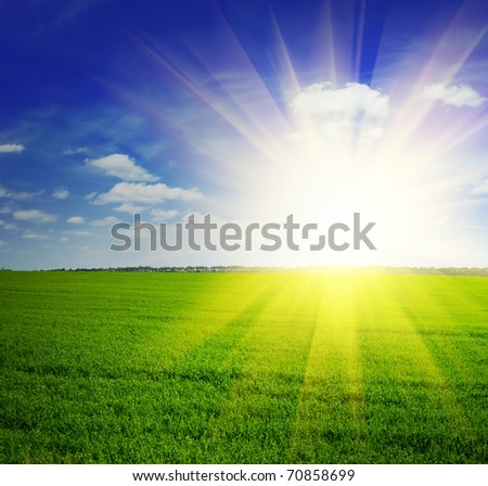 Beautiful Grass Landscape