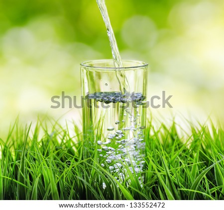 Glass Of Water On Nature Background.