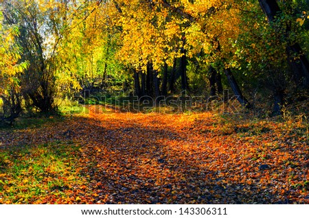 Beautiful autumn landscape. Fall season.