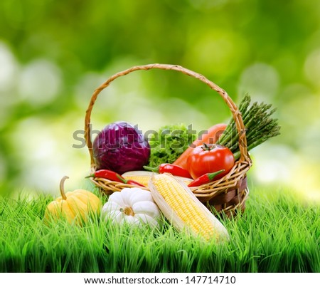 Fresh vegetables in the basket on green grass.