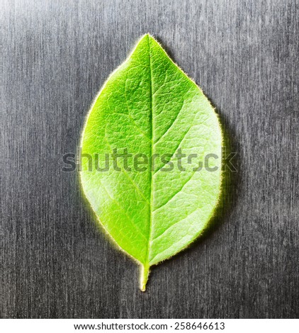 Green leaf lying on scratched metal. Top view. Modern technology and nature compatible. New technology on guard ecology. Eco-friendly concept.