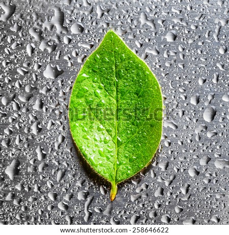 Green leaf lying on scratched metal in raindrops. Top view. Modern technology and nature compatible. New technology on guard ecology. Eco-friendly concept.
