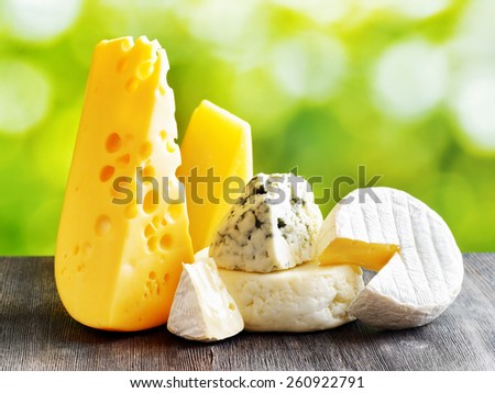 Different types of cheese on a black wooden table and on nature background. Maasdam cheese, Brie, Parmesan cheese, Gouda and blue cheese Roquefort. Organic healthy food rich in calcium and minerals.