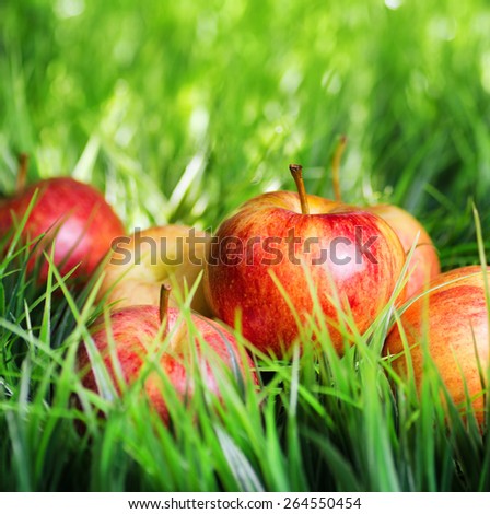 Juicy fresh red apples on green grass. Healthy eco food rich in minerals and vitamins. Product of organic farming.