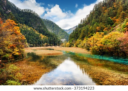 Crystal clear water of river among fall woods in mountain gorge, Jiuzhaigou nature reserve (Jiuzhai Valley National Park), China. Autumn landscape with forest in the Min Mountains (Minshan).