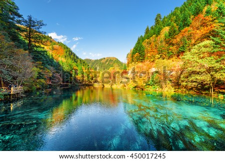 Amazing view of the Five Flower Lake (Multicolored Lake) among wooded mountains in Jiuzhaigou nature reserve (Jiuzhai Valley National Park), China. Colorful autumn forest reflected in azure water.