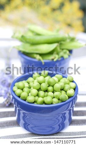 Peeled and unpeeled fresh green peas in a small lilac bowls