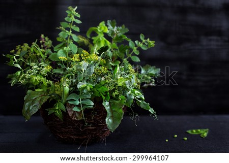Collection of fresh dill, parsley, green peas, basil, mint, lemon balm, celery leaves, beetroot leaves, green peppers and gooseberries in the basket on the black background. Concept photo.