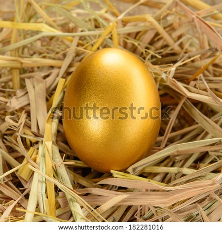 gold egg on net