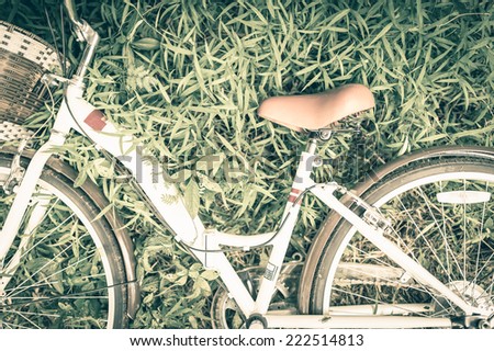 Vintage Bicycle with Summer grass field,vintage tone style