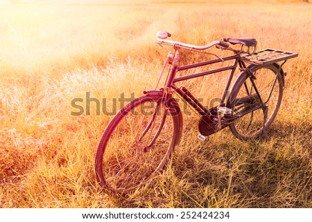 Vintage Bicycle with Summer grass field ; vintage filter style
