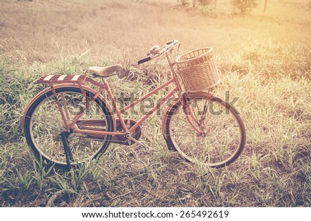 beautiful landscape image with red vintage bicycle at grass field ; vintage filtered style