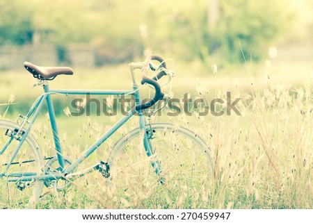 beautiful landscape image with sport vintage Bicycle at summer grass field ; old vintage filter style