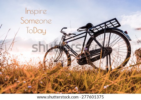 Vintage Bicycle with Summer grassfield ; life quote. Inspirational quote. Motivational background