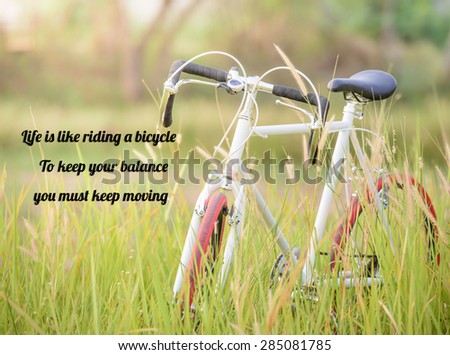 life quote. Inspirational quote by Albert Einstein on image Sport Vintage Bicycle with green grass field